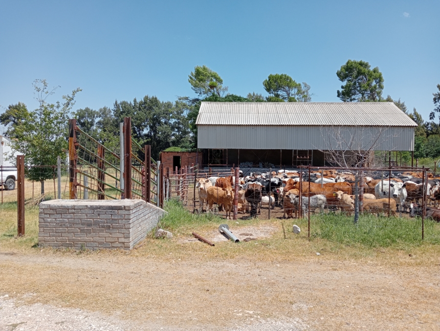 Commercial Property for Sale in Barkly West Northern Cape